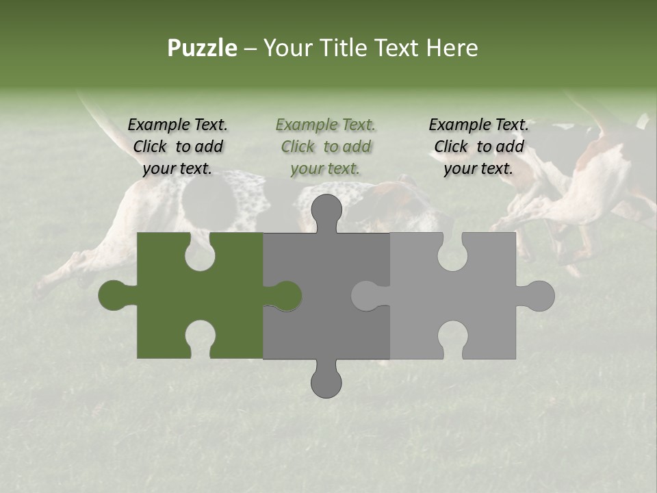 A Group Of Dogs Running In A Field Of Grass PowerPoint Template