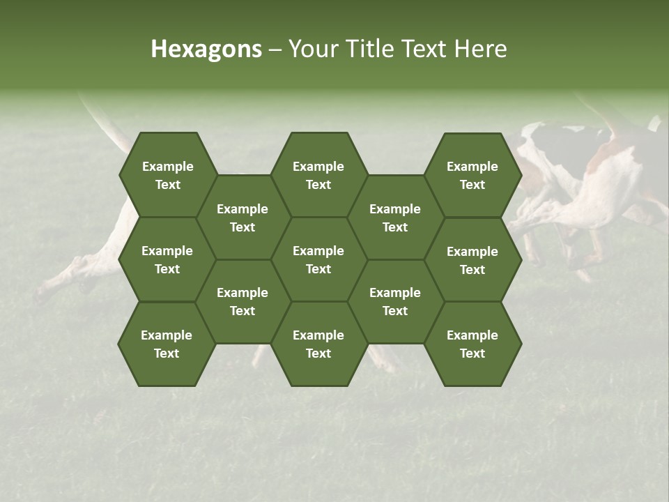 A Group Of Dogs Running In A Field Of Grass PowerPoint Template
