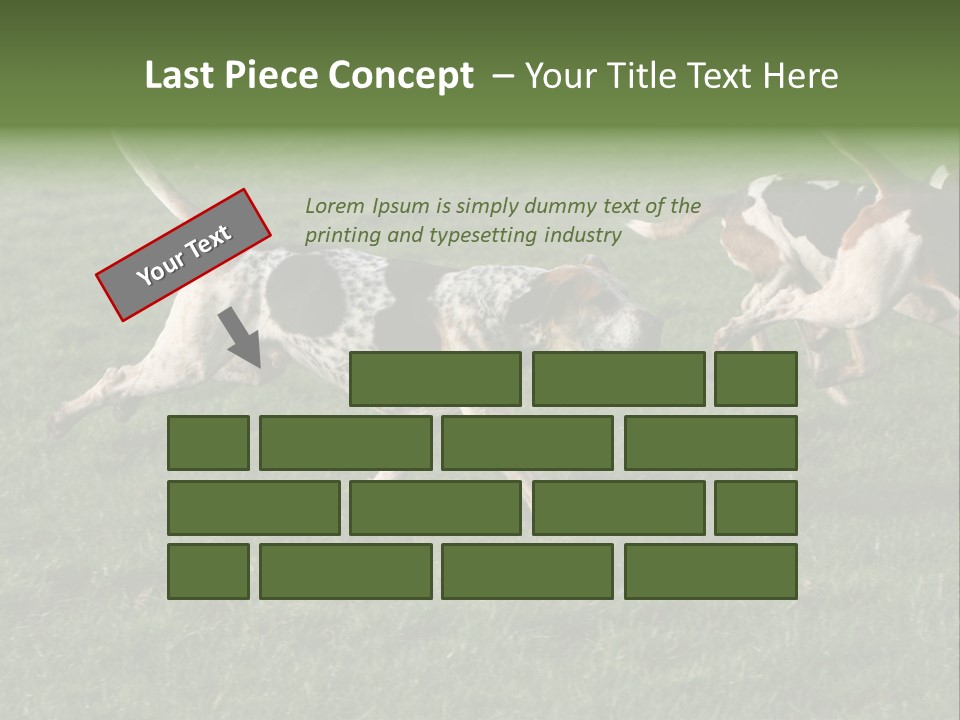 A Group Of Dogs Running In A Field Of Grass PowerPoint Template