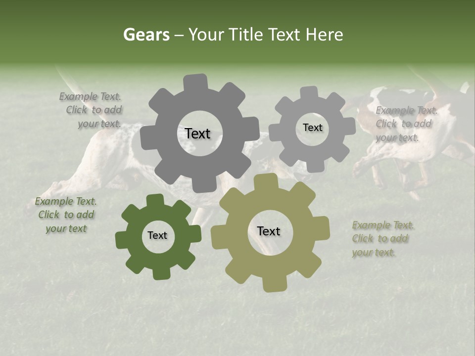 A Group Of Dogs Running In A Field Of Grass PowerPoint Template