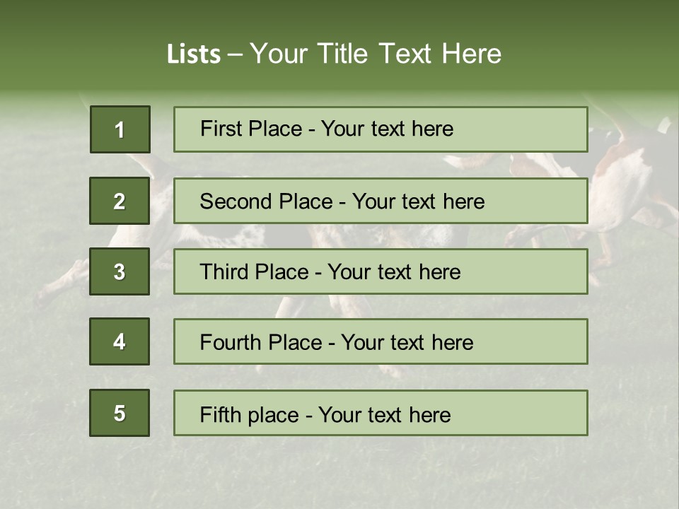 A Group Of Dogs Running In A Field Of Grass PowerPoint Template