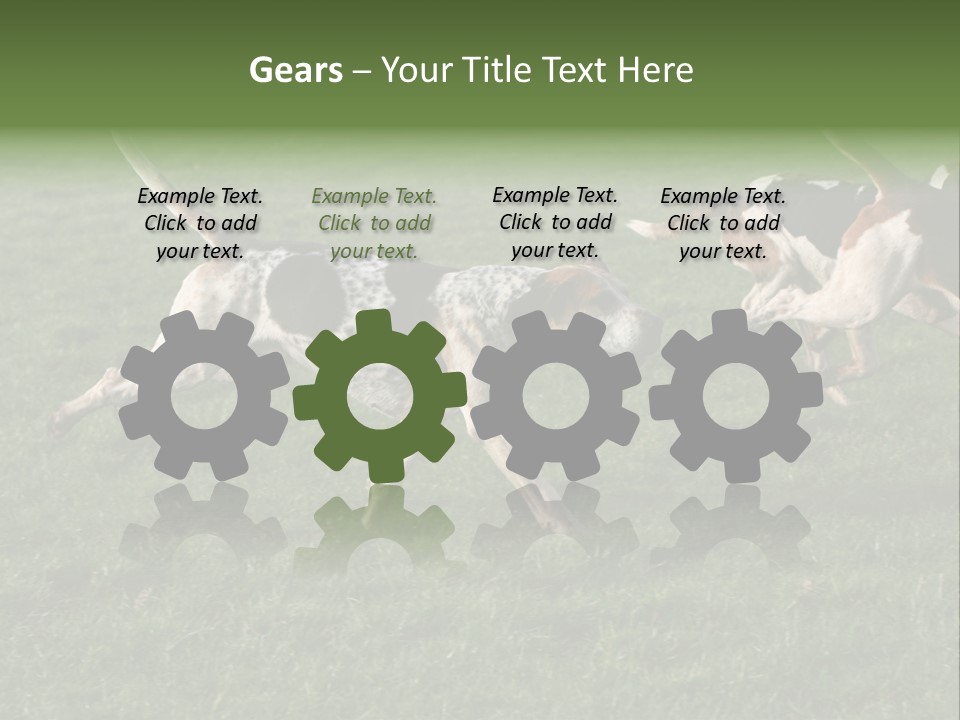 A Group Of Dogs Running In A Field Of Grass PowerPoint Template