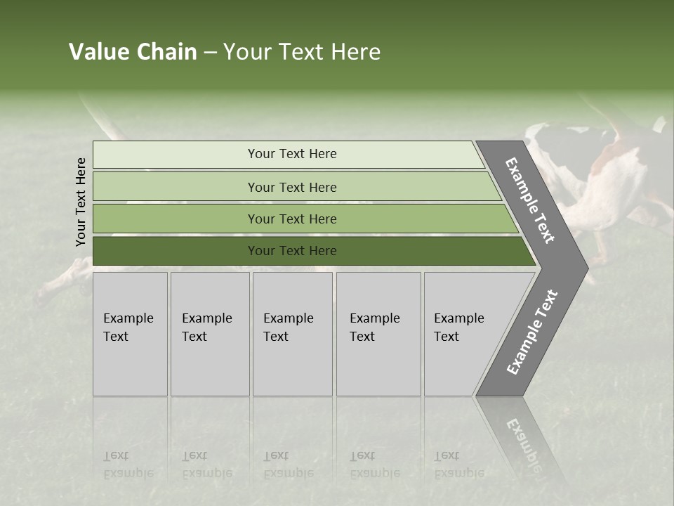A Group Of Dogs Running In A Field Of Grass PowerPoint Template