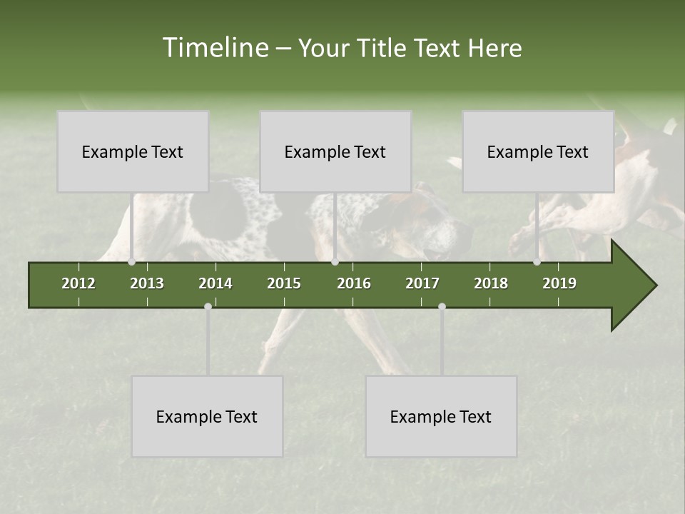 A Group Of Dogs Running In A Field Of Grass PowerPoint Template