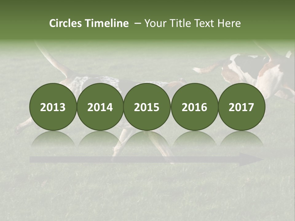 A Group Of Dogs Running In A Field Of Grass PowerPoint Template