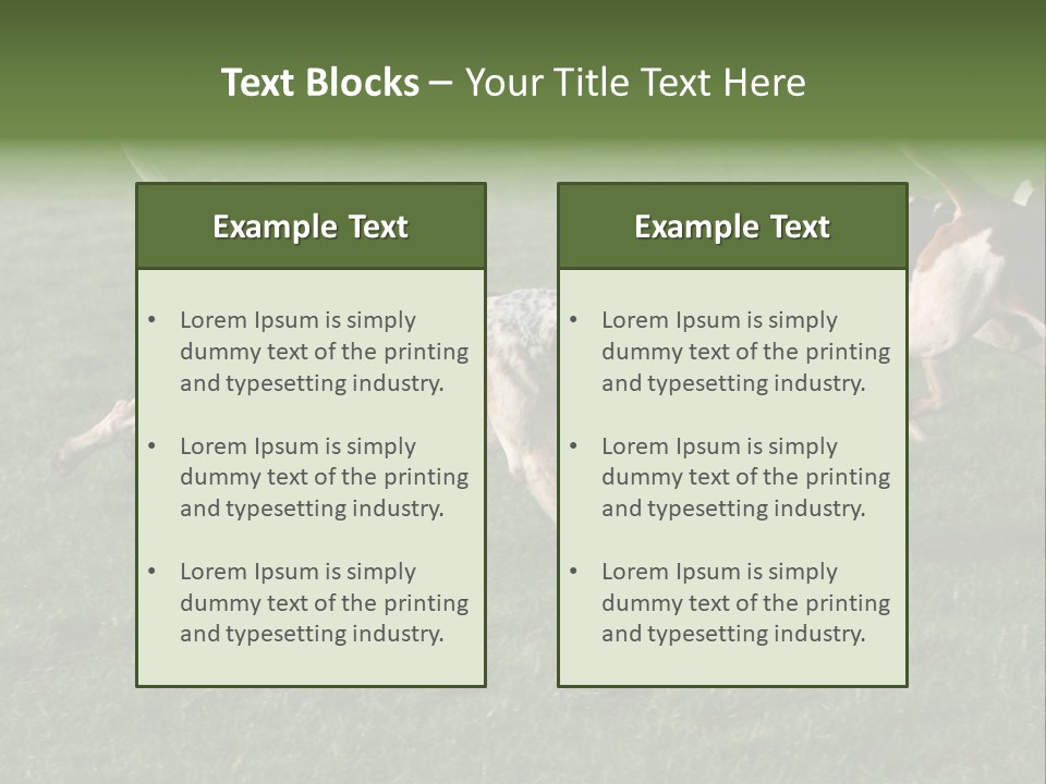 A Group Of Dogs Running In A Field Of Grass PowerPoint Template