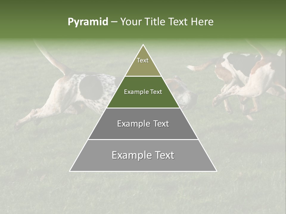 A Group Of Dogs Running In A Field Of Grass PowerPoint Template