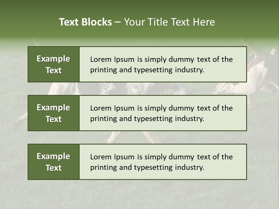 A Group Of Dogs Running In A Field Of Grass PowerPoint Template