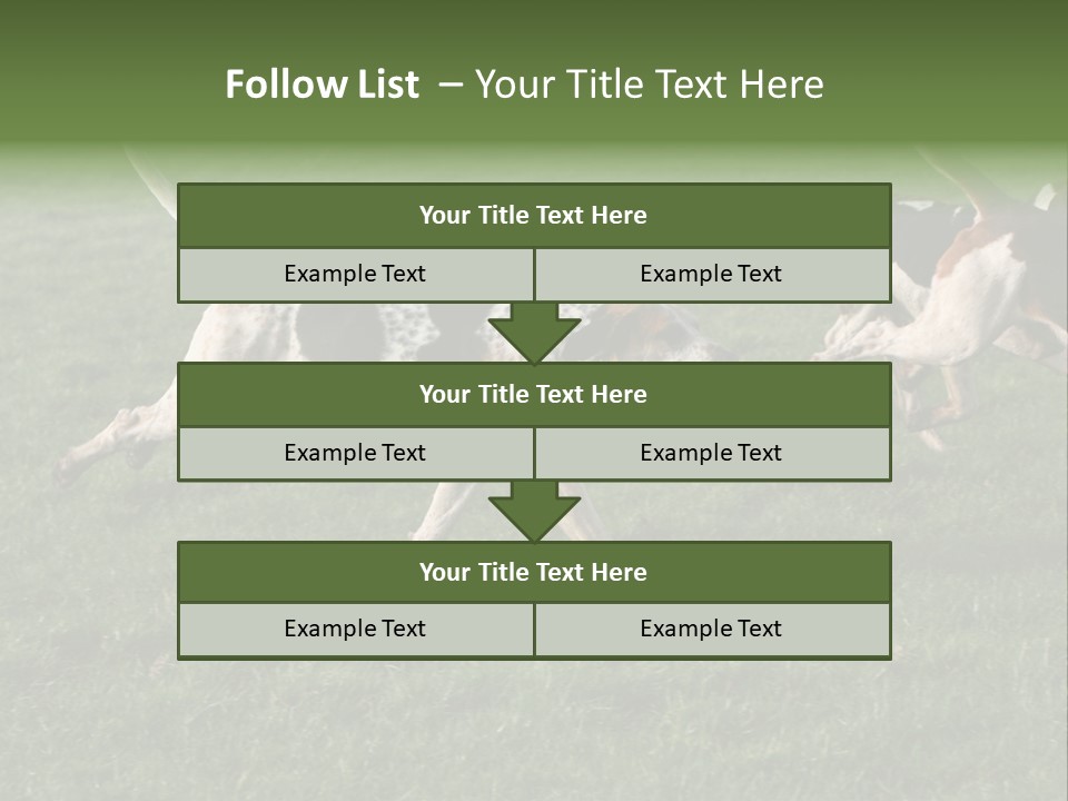 A Group Of Dogs Running In A Field Of Grass PowerPoint Template