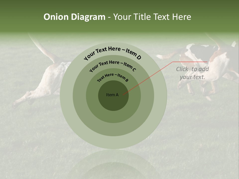 A Group Of Dogs Running In A Field Of Grass PowerPoint Template