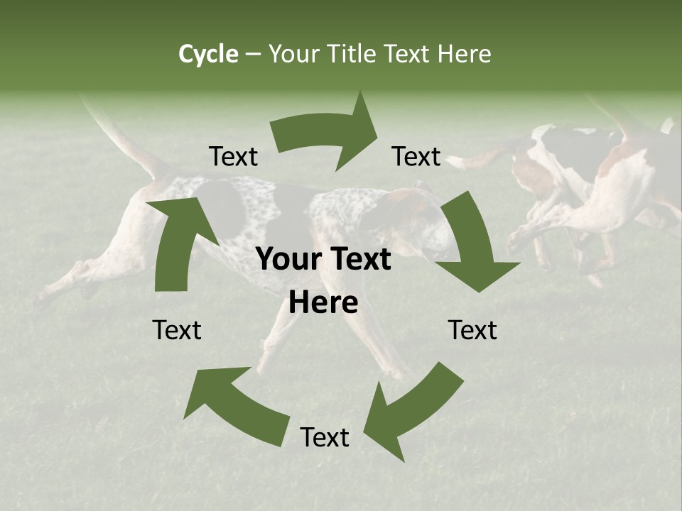 A Group Of Dogs Running In A Field Of Grass PowerPoint Template