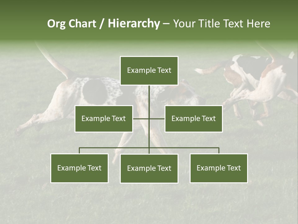 A Group Of Dogs Running In A Field Of Grass PowerPoint Template