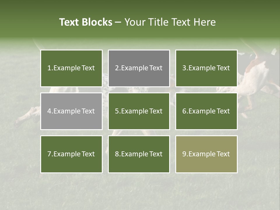 A Group Of Dogs Running In A Field Of Grass PowerPoint Template