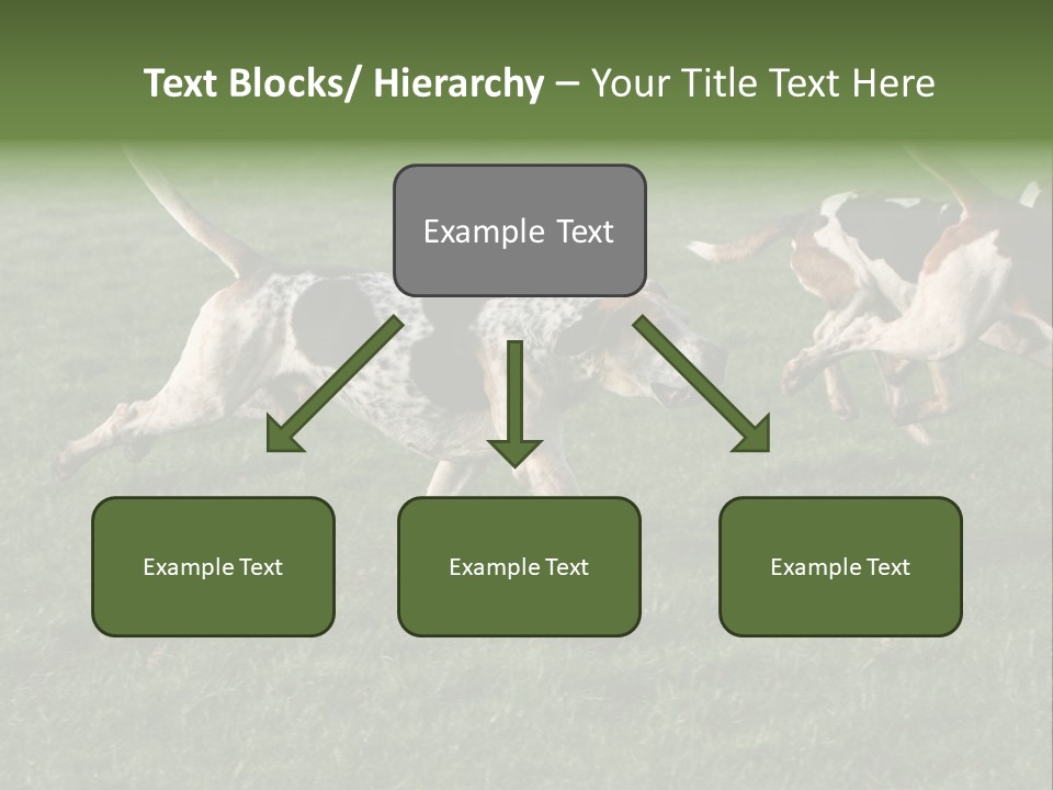 A Group Of Dogs Running In A Field Of Grass PowerPoint Template