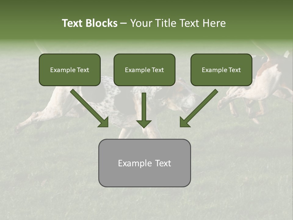 A Group Of Dogs Running In A Field Of Grass PowerPoint Template