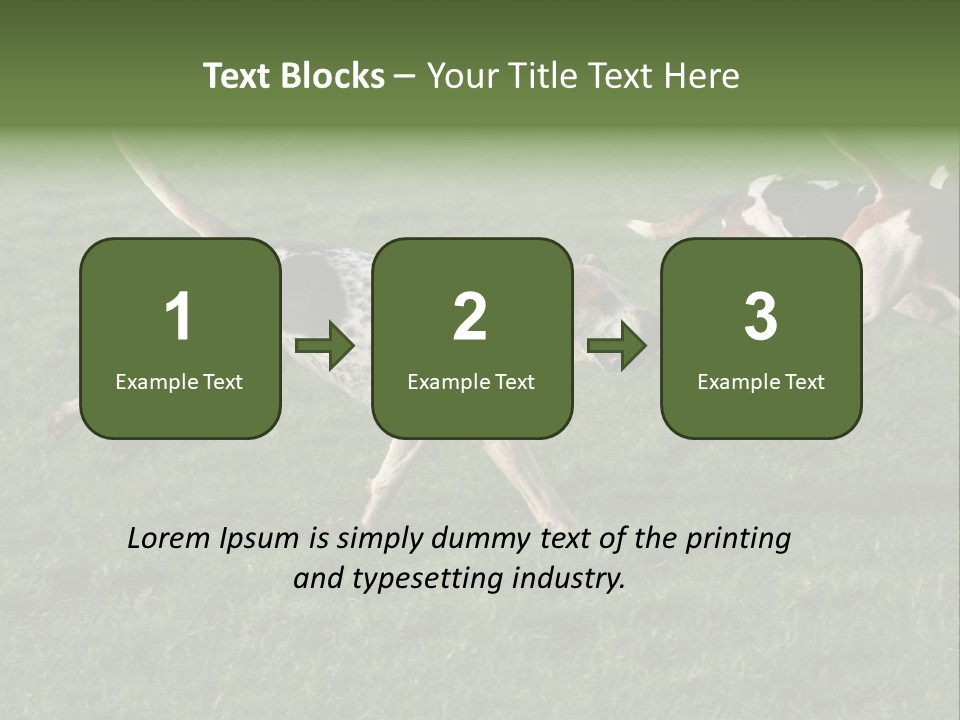 A Group Of Dogs Running In A Field Of Grass PowerPoint Template