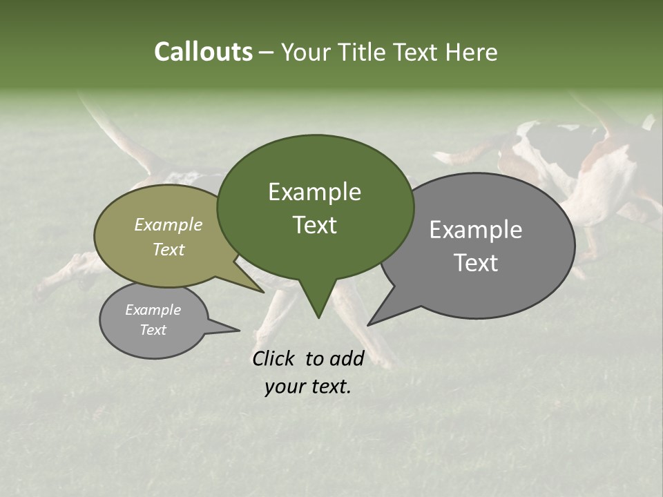 A Group Of Dogs Running In A Field Of Grass PowerPoint Template