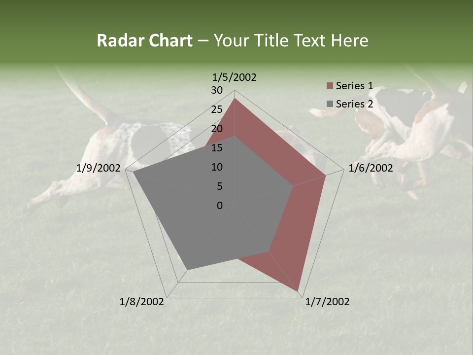 A Group Of Dogs Running In A Field Of Grass PowerPoint Template