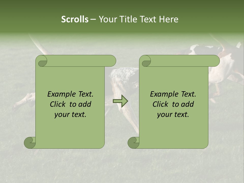 A Group Of Dogs Running In A Field Of Grass PowerPoint Template