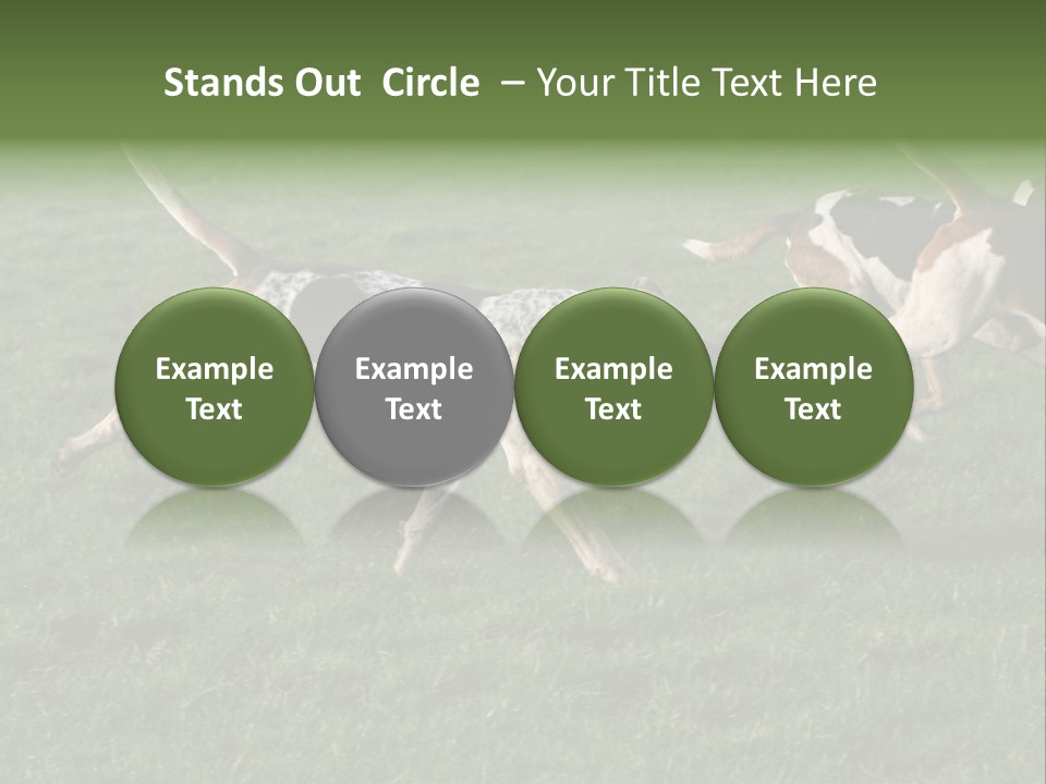 A Group Of Dogs Running In A Field Of Grass PowerPoint Template
