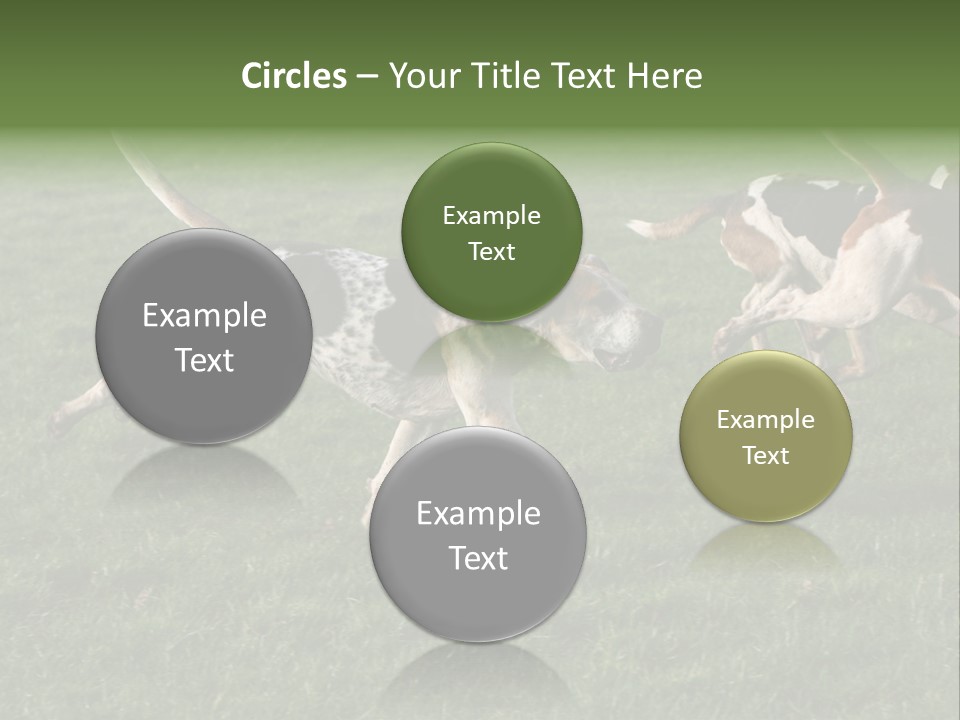 A Group Of Dogs Running In A Field Of Grass PowerPoint Template