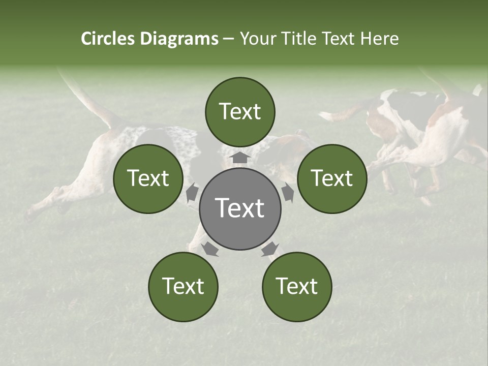 A Group Of Dogs Running In A Field Of Grass PowerPoint Template