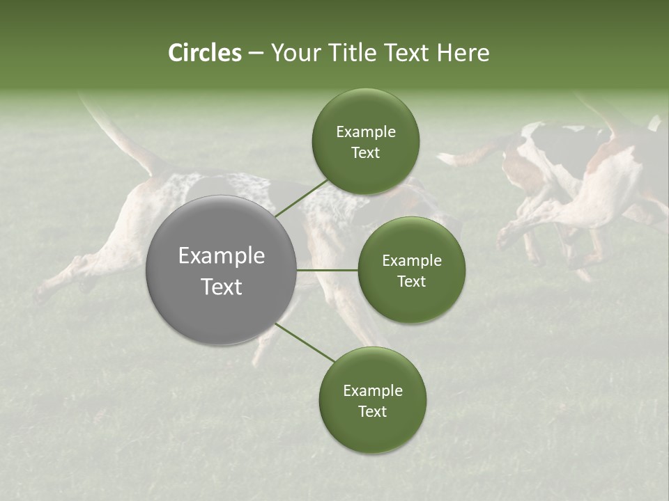 A Group Of Dogs Running In A Field Of Grass PowerPoint Template