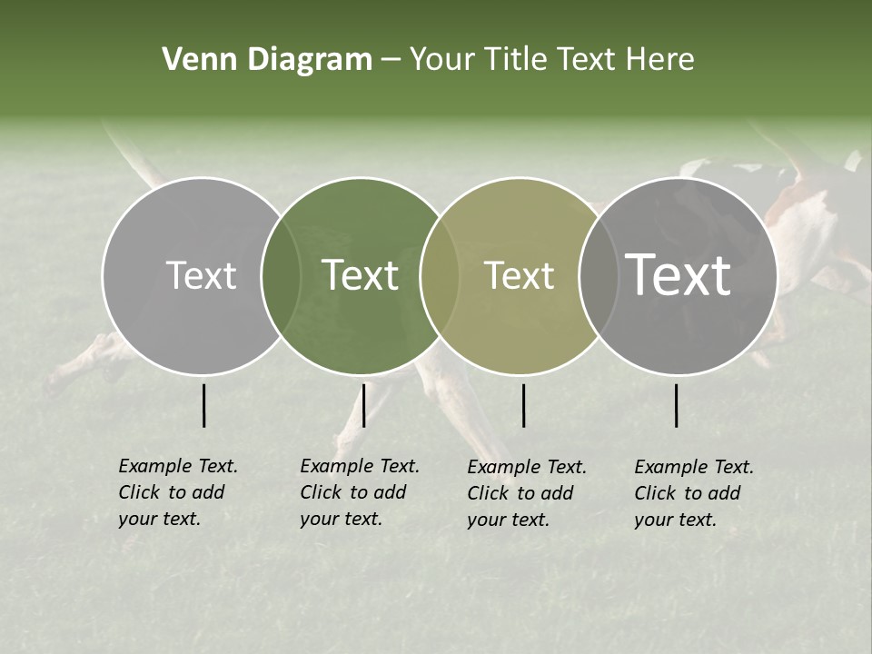 A Group Of Dogs Running In A Field Of Grass PowerPoint Template