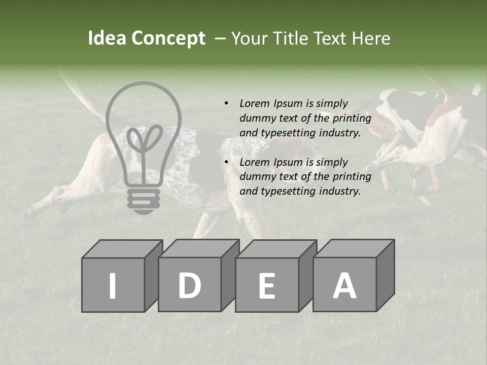 A Group Of Dogs Running In A Field Of Grass PowerPoint Template