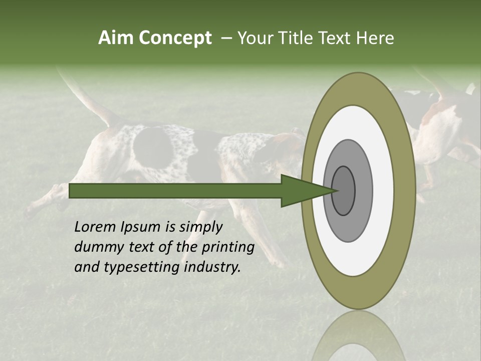 A Group Of Dogs Running In A Field Of Grass PowerPoint Template