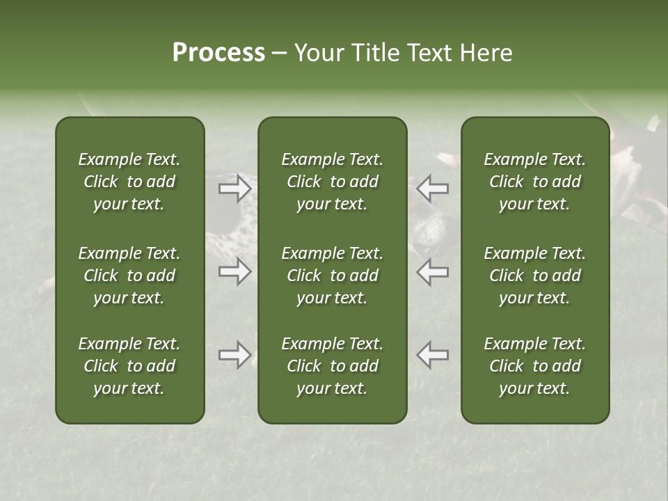A Group Of Dogs Running In A Field Of Grass PowerPoint Template