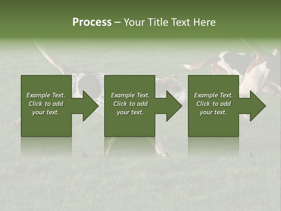 A Group Of Dogs Running In A Field Of Grass PowerPoint Template