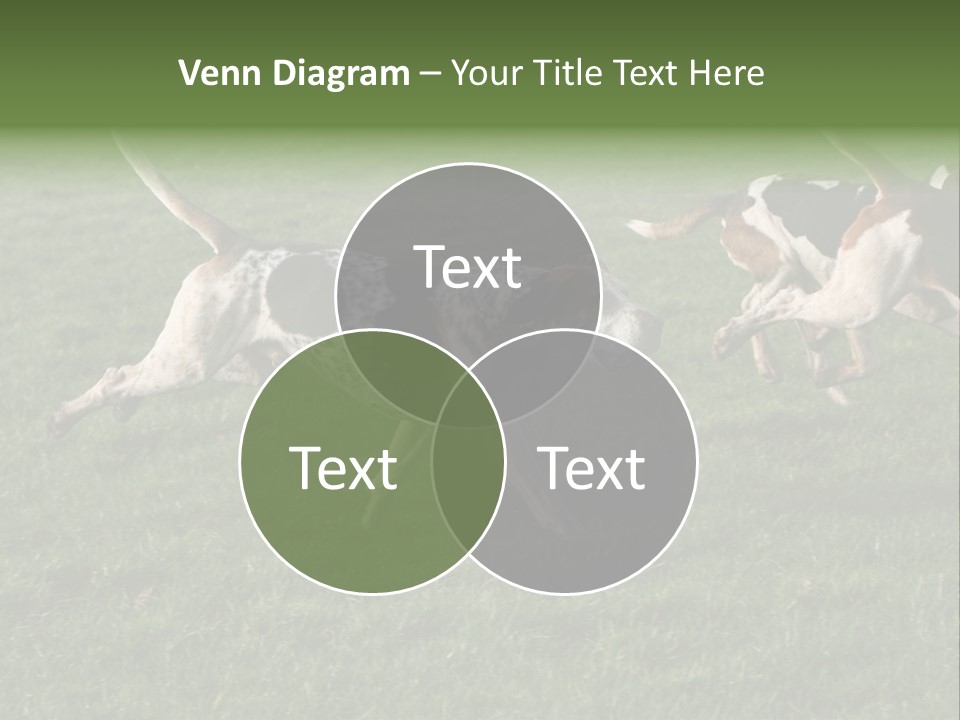 A Group Of Dogs Running In A Field Of Grass PowerPoint Template