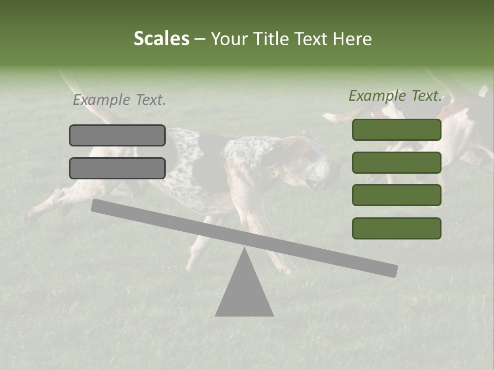 A Group Of Dogs Running In A Field Of Grass PowerPoint Template