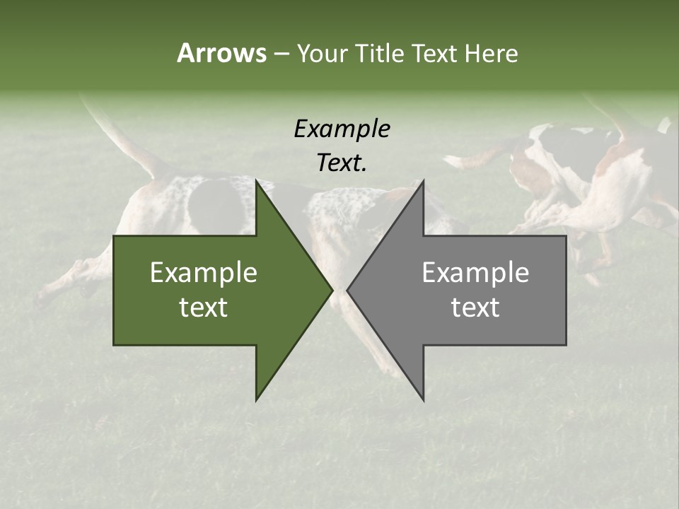 A Group Of Dogs Running In A Field Of Grass PowerPoint Template