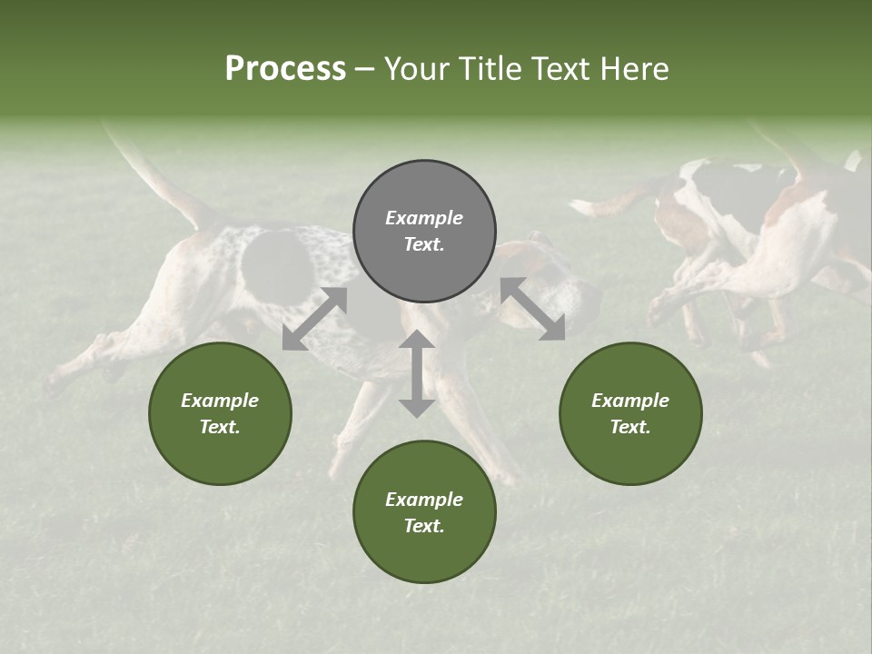 A Group Of Dogs Running In A Field Of Grass PowerPoint Template