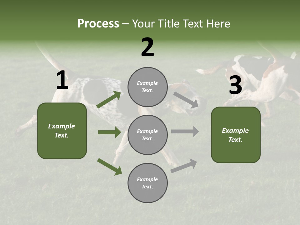 A Group Of Dogs Running In A Field Of Grass PowerPoint Template