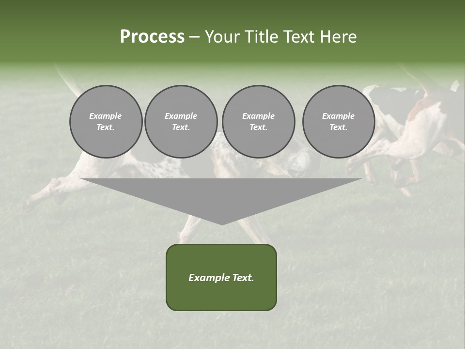 A Group Of Dogs Running In A Field Of Grass PowerPoint Template