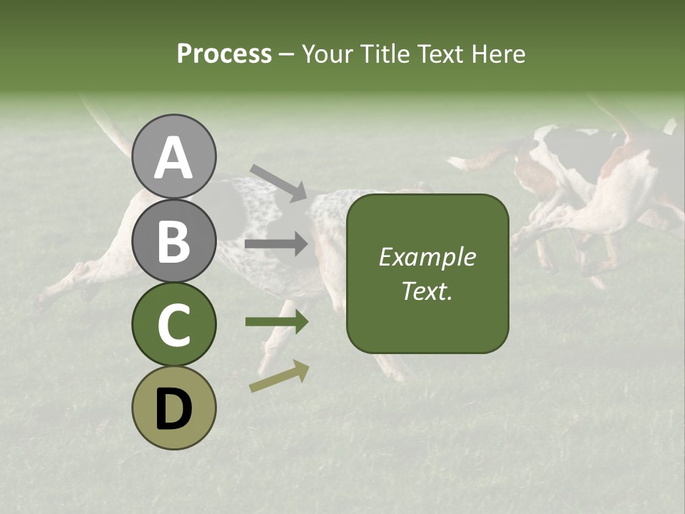 A Group Of Dogs Running In A Field Of Grass PowerPoint Template