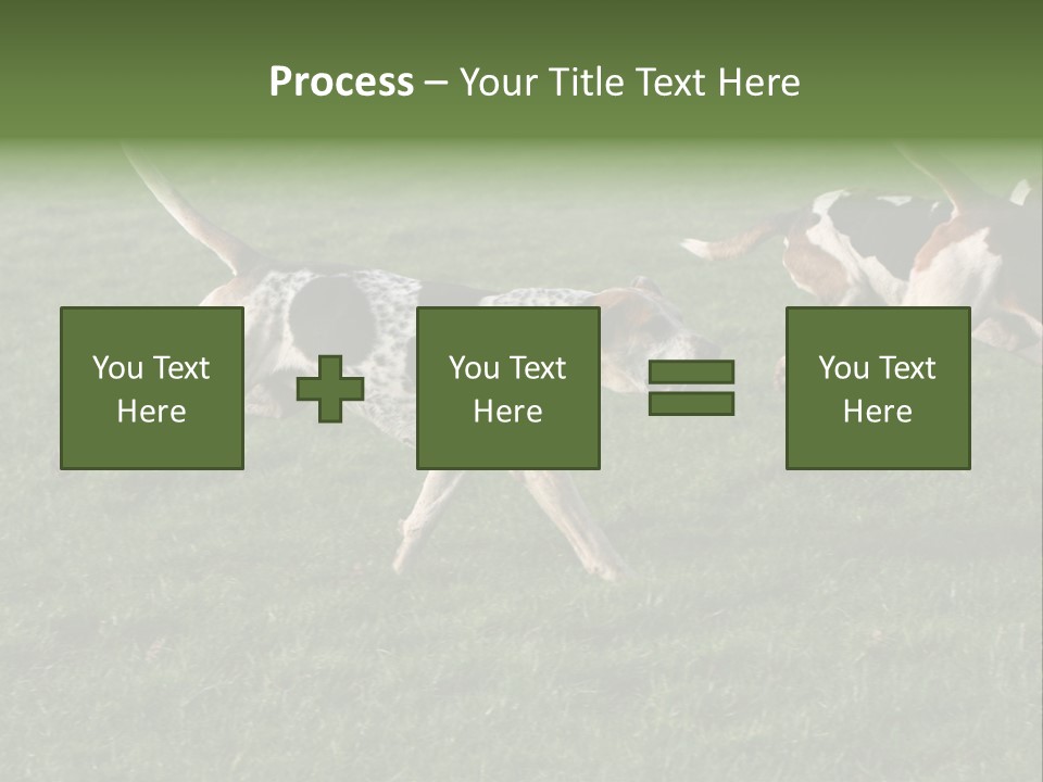 A Group Of Dogs Running In A Field Of Grass PowerPoint Template