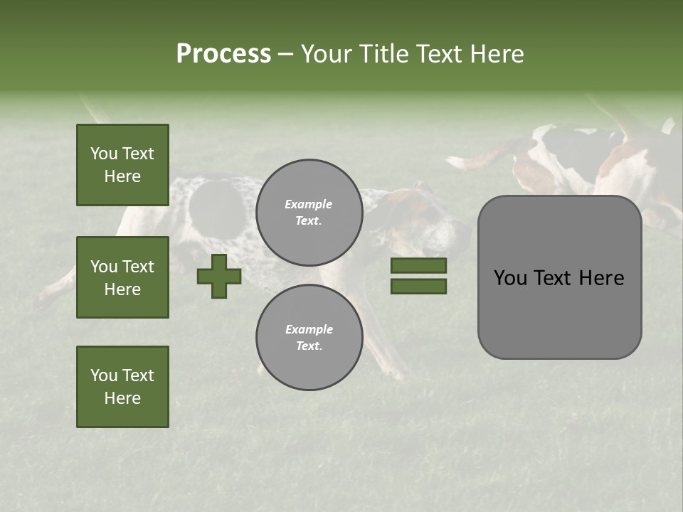 A Group Of Dogs Running In A Field Of Grass PowerPoint Template