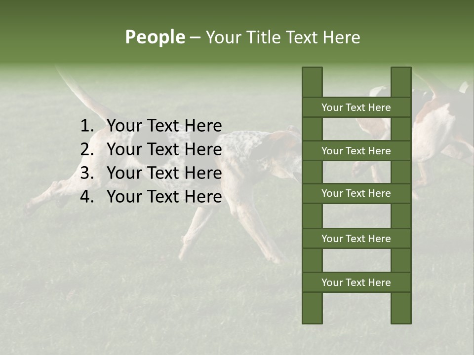 A Group Of Dogs Running In A Field Of Grass PowerPoint Template