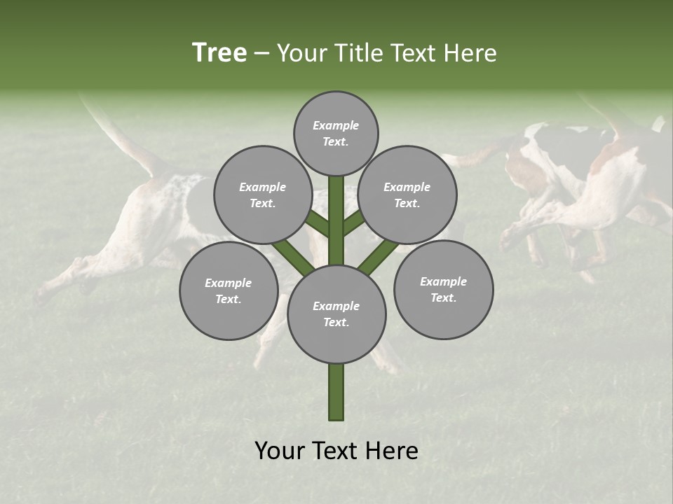 A Group Of Dogs Running In A Field Of Grass PowerPoint Template