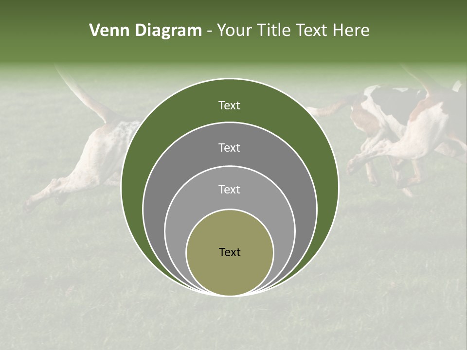 A Group Of Dogs Running In A Field Of Grass PowerPoint Template
