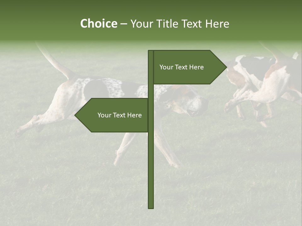 A Group Of Dogs Running In A Field Of Grass PowerPoint Template