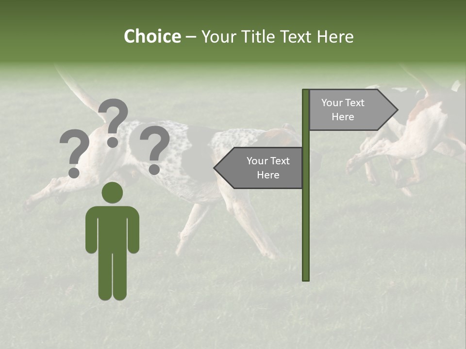 A Group Of Dogs Running In A Field Of Grass PowerPoint Template