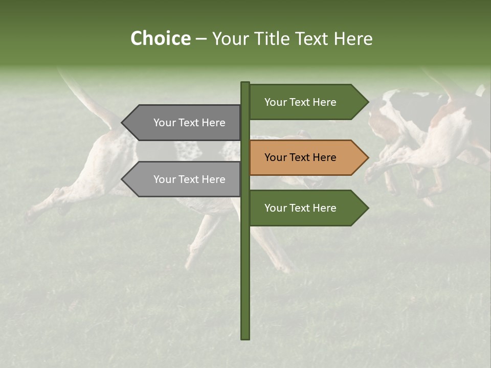 A Group Of Dogs Running In A Field Of Grass PowerPoint Template