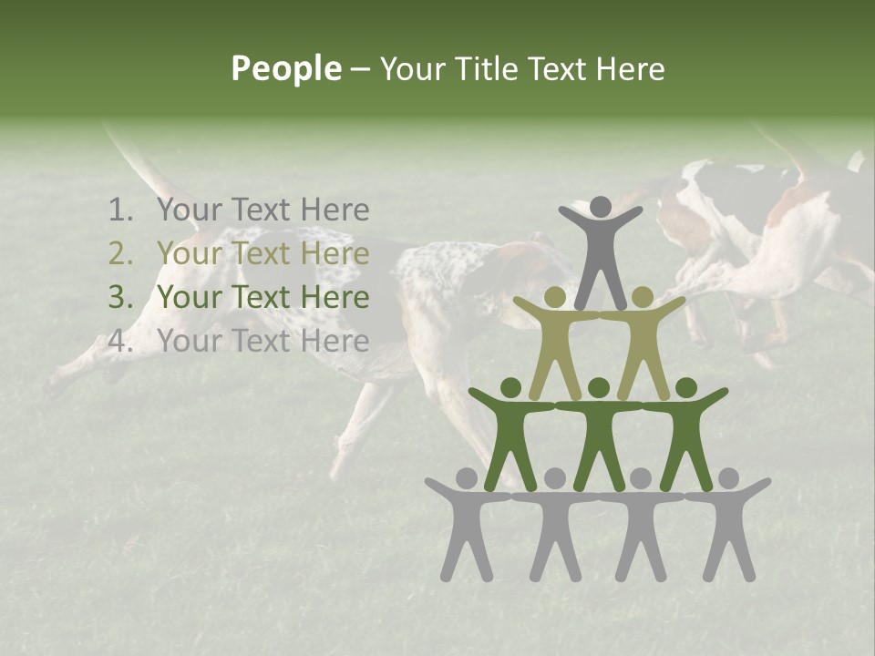 A Group Of Dogs Running In A Field Of Grass PowerPoint Template