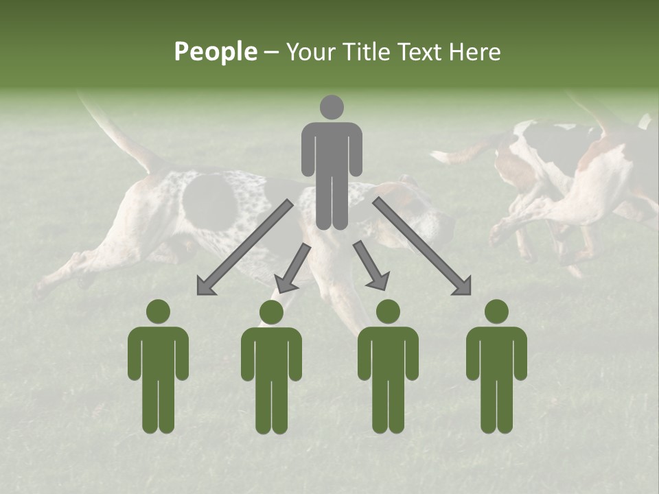 A Group Of Dogs Running In A Field Of Grass PowerPoint Template