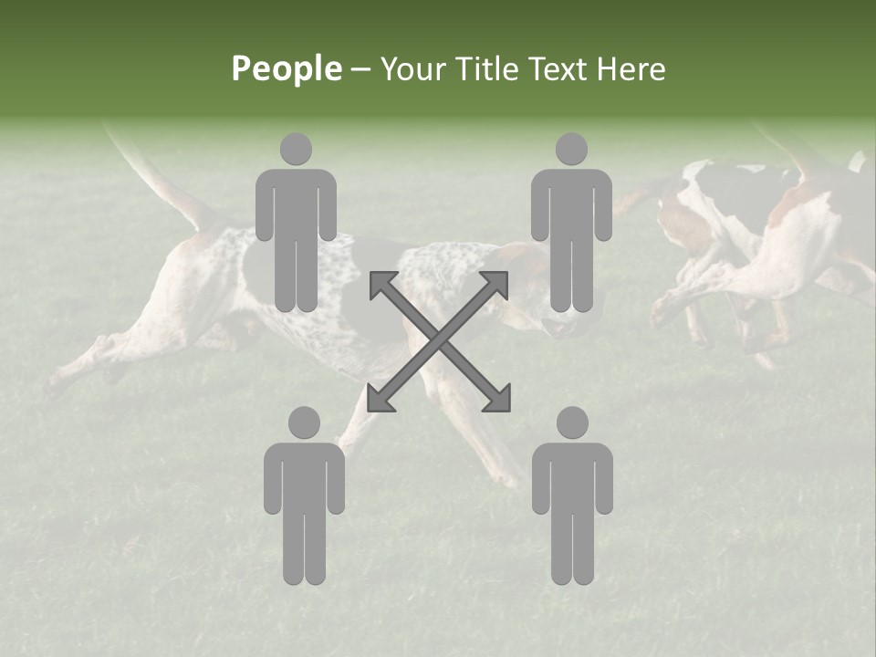 A Group Of Dogs Running In A Field Of Grass PowerPoint Template
